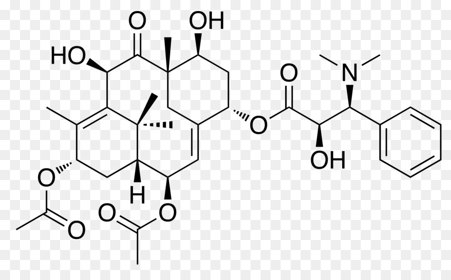 Estructura Química，Molécula PNG