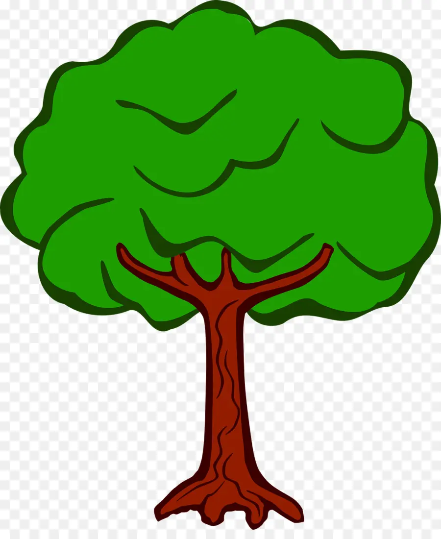 Árbol，Planta PNG