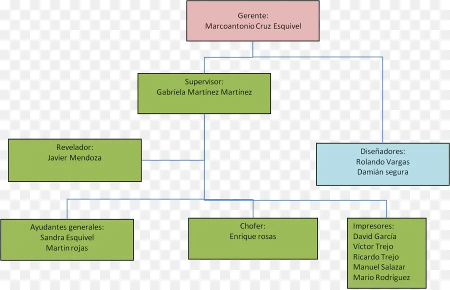 Organización，Organigrama PNG