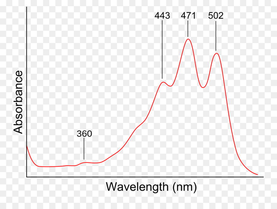 Espectroscopía Ultravioletvisible，Espectroscopia PNG