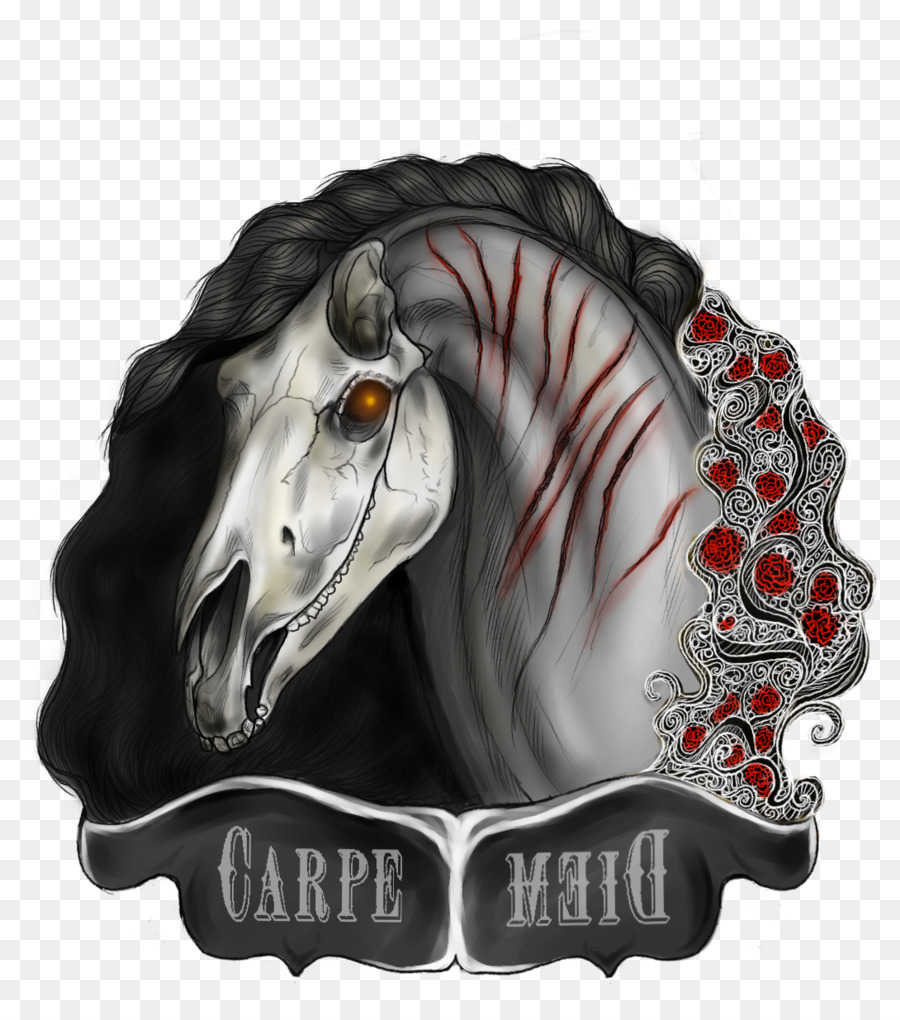 Mapache，Caballo PNG