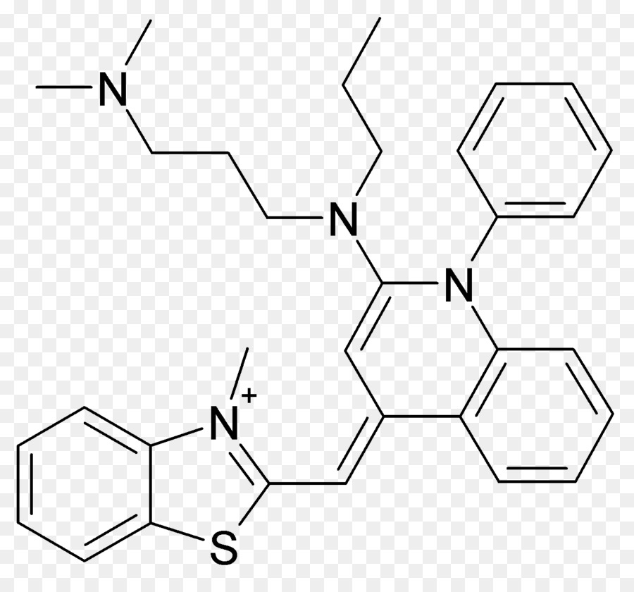 Sybr Green I，Biología Molecular PNG