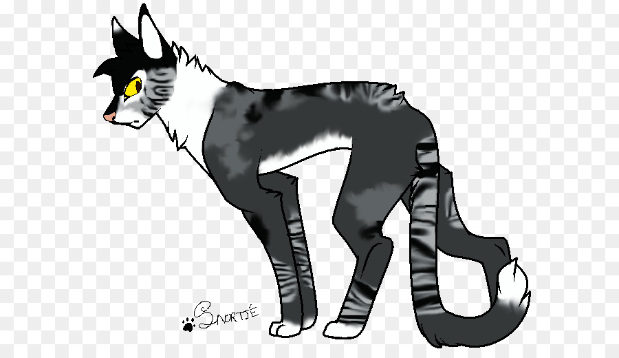 Gato De Dibujos Animados，Dibujo PNG