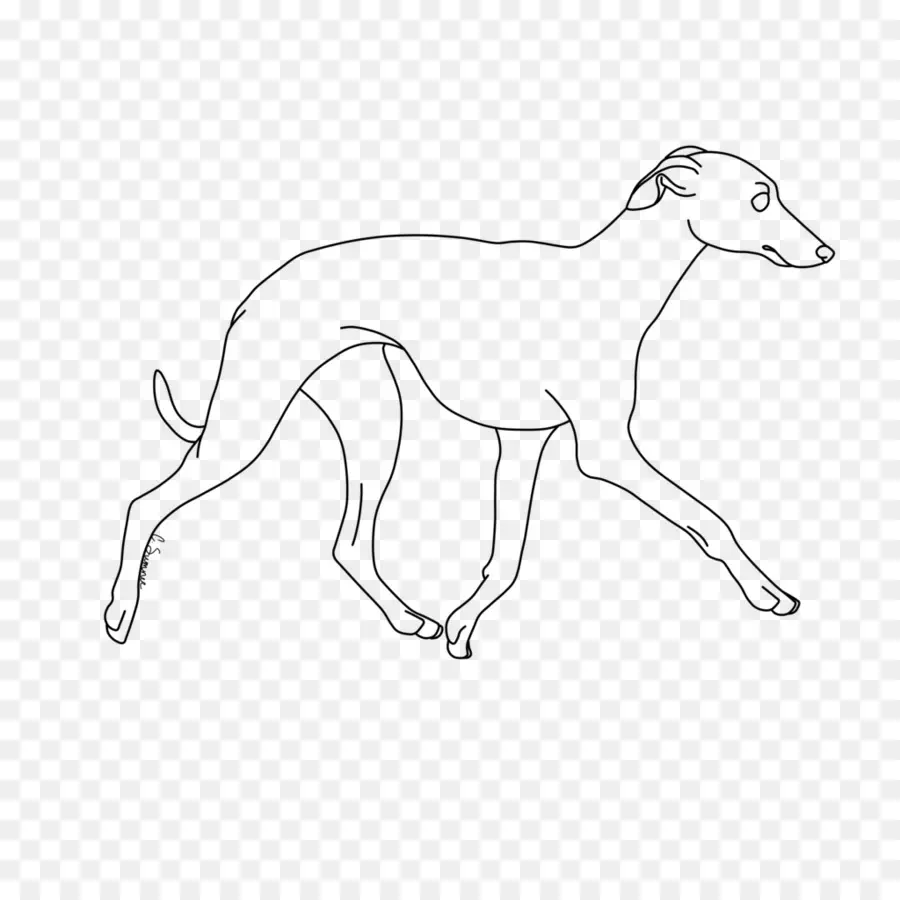 Contorno Del Perro，Mascota PNG