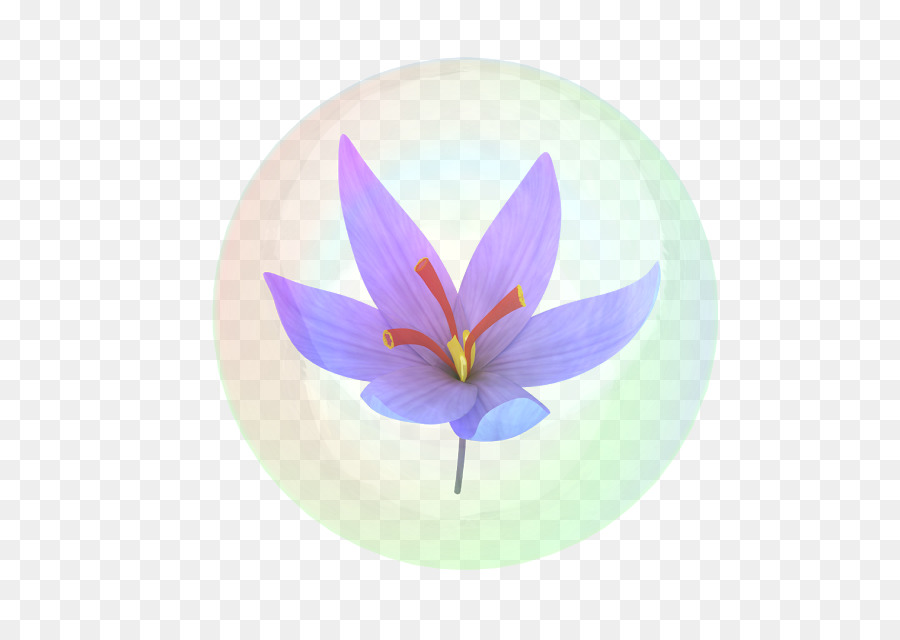 Labinal，Crocus PNG