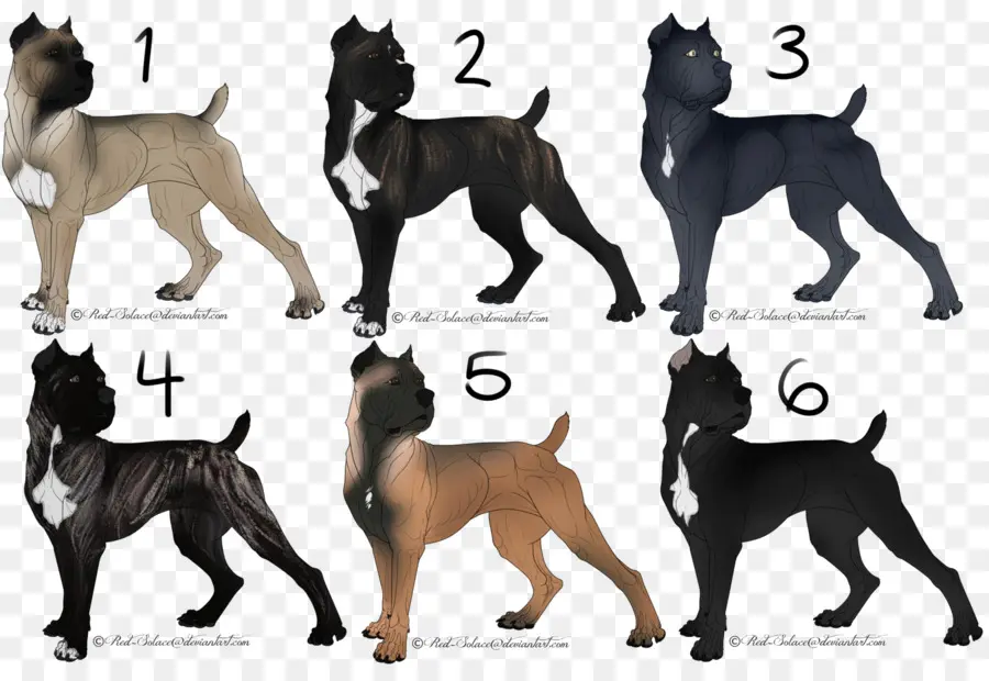 Raza De Perro，Cane Corso PNG