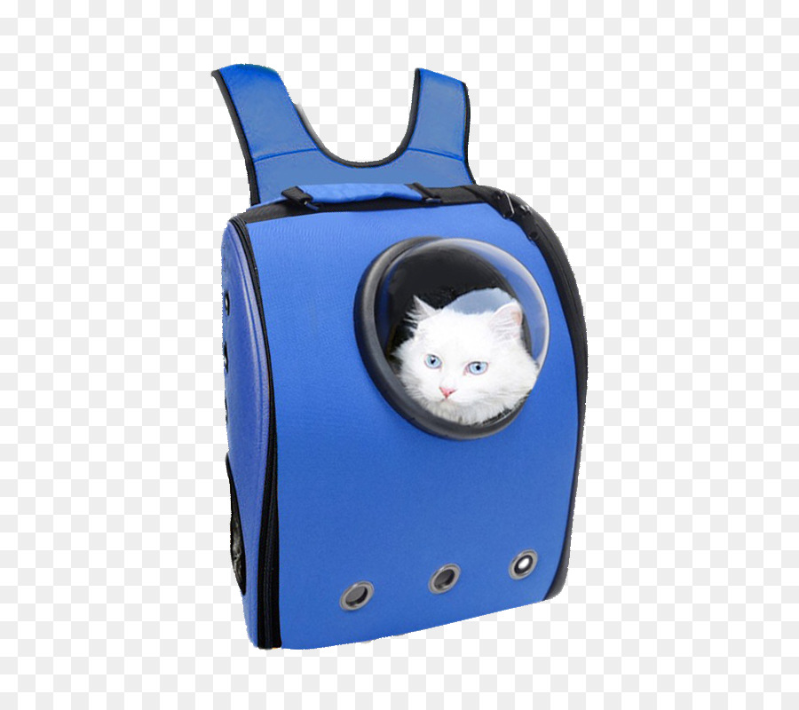 Mochila De Gato，Gato PNG