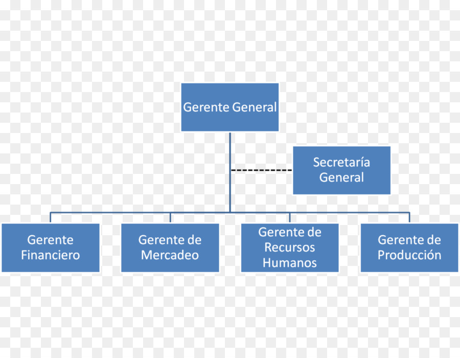 Organización，Organigrama PNG