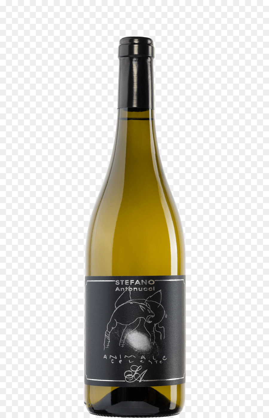 Vino Blanco，Vino PNG