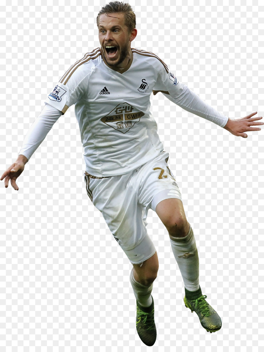 Gylfi Sigurdsson，Swansea City Afc PNG