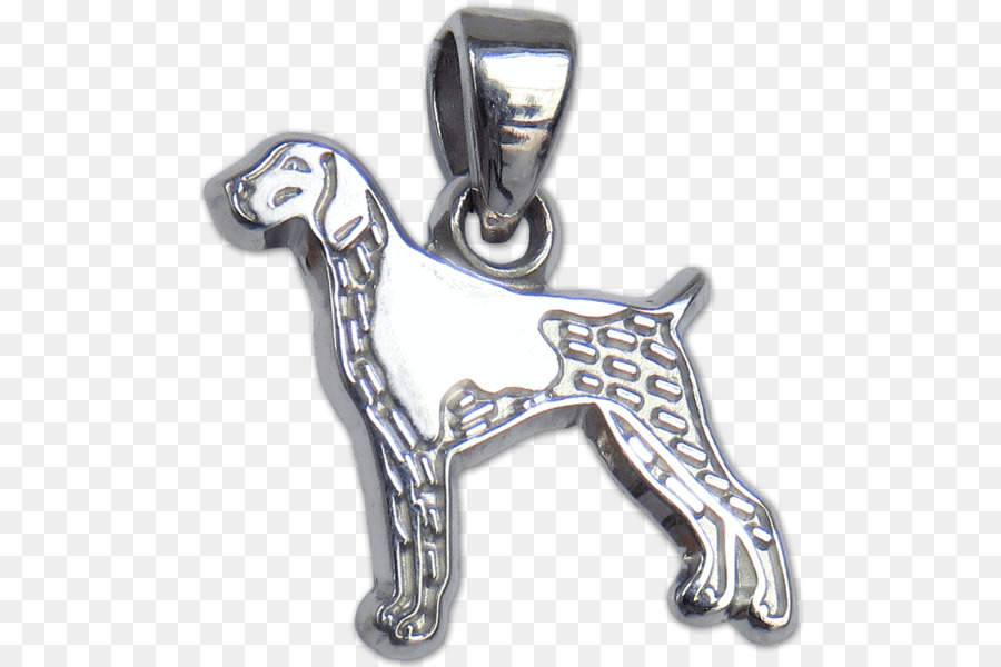 Colgante De Perro，Plata PNG