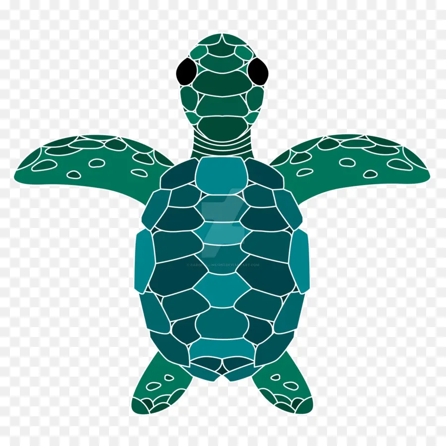 Tortuga De Mar，Tortuga PNG