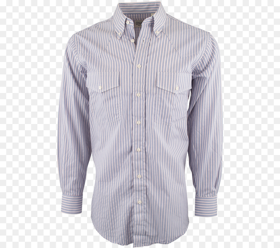 Camisa De Vestir，Blusa PNG