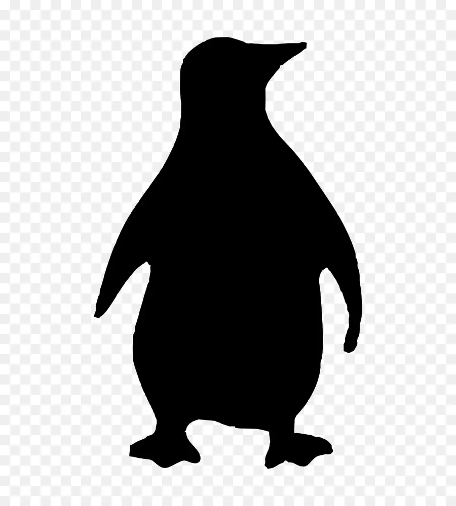 Silueta De Pingüino，Pájaro PNG