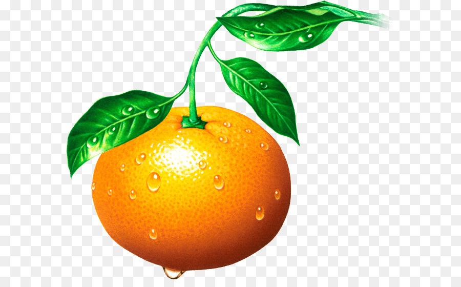 Clementine，Mandarina PNG