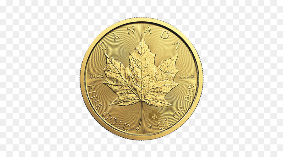 Canadiense De Oro De La Hoja De Arce，La Hoja De Arce Canadiense PNG