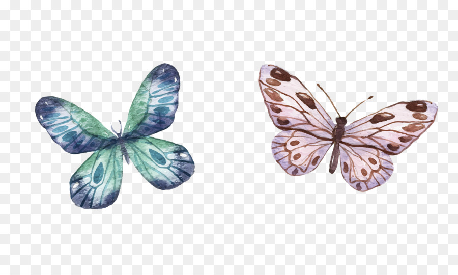 Mariposas，Alas PNG