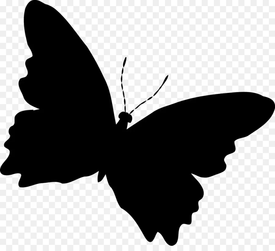 Silueta De Mariposa，Negro PNG