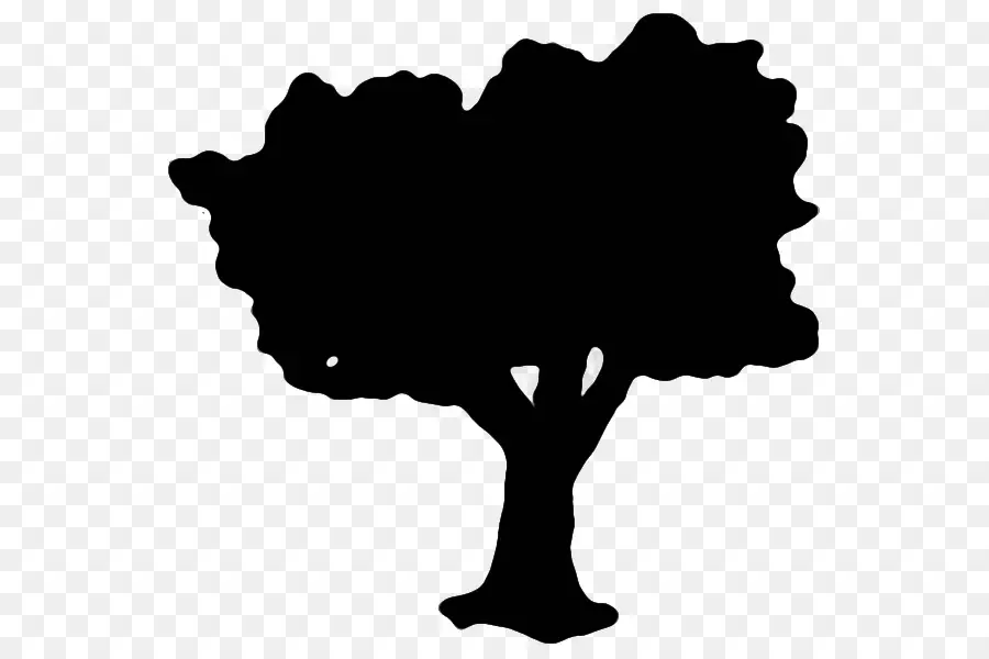 Silueta De Arbol，Sombra PNG