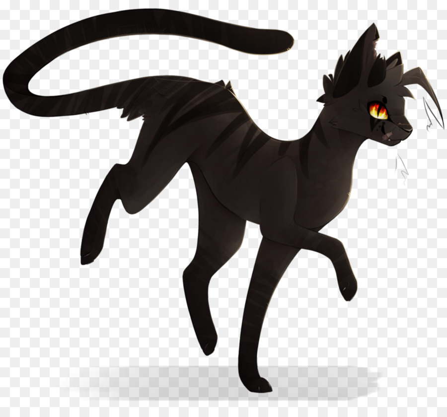 Gato，Caballo PNG