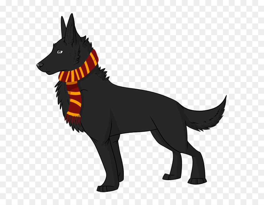 Raza De Perro，Perro PNG