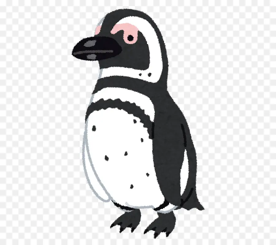 Pingüino，Pingüino De Magallanes PNG