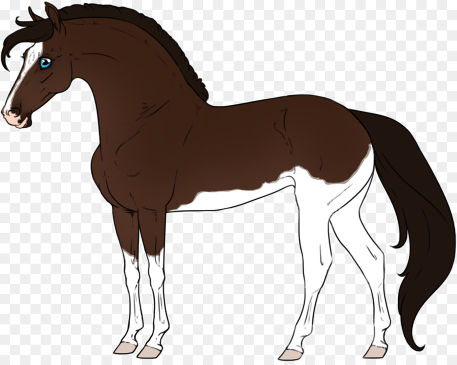 Caballo，Equino PNG