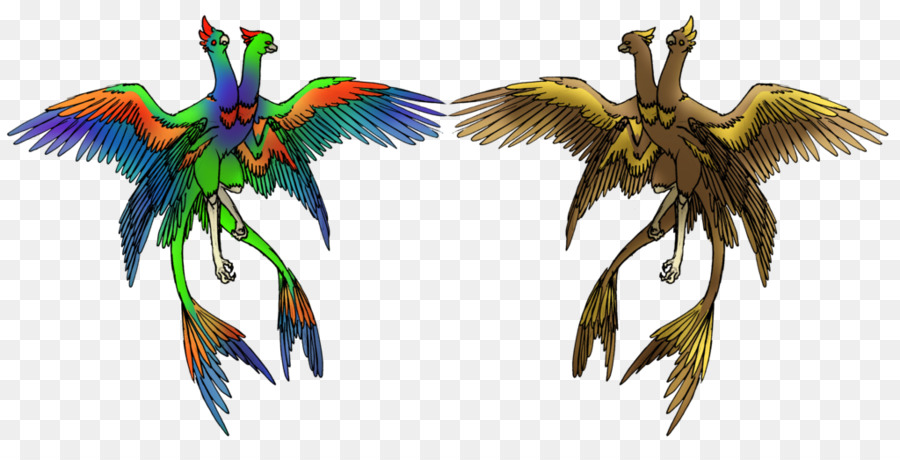 Guacamayo，Loro PNG