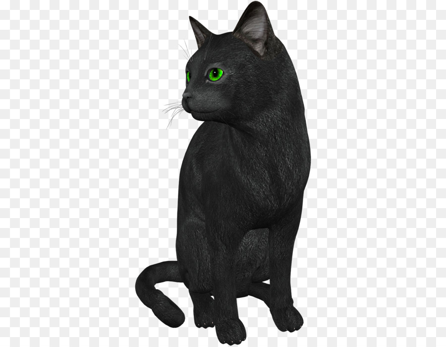 Gato Negro，Mascota PNG