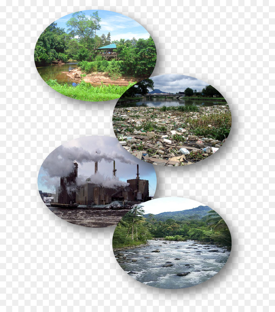 Ecosistema，Los Recursos De Agua PNG