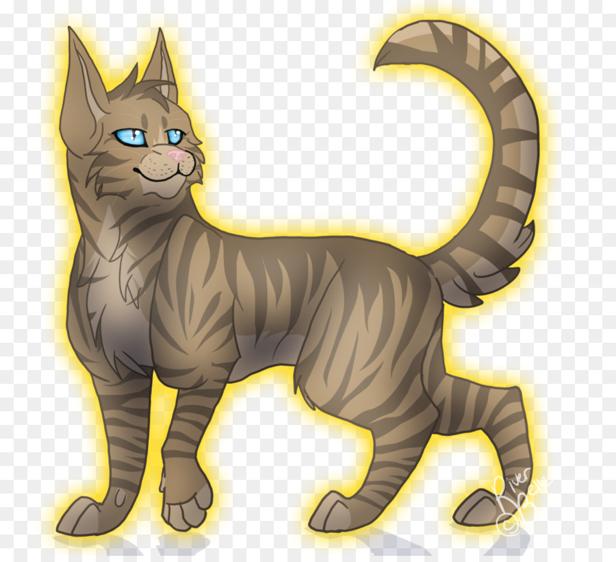 Gato，Felino PNG