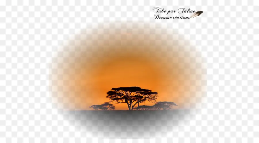 árbol Del Atardecer，Atardecer PNG