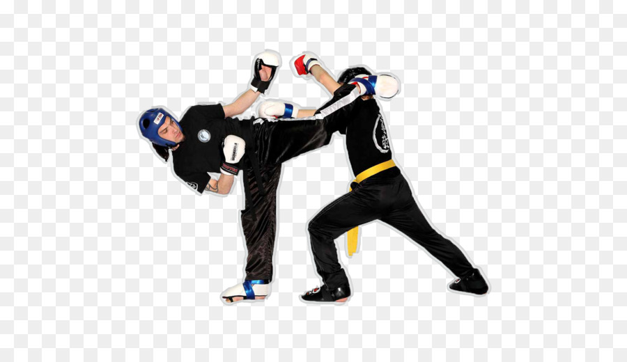 Artes Marciales，Lucha PNG