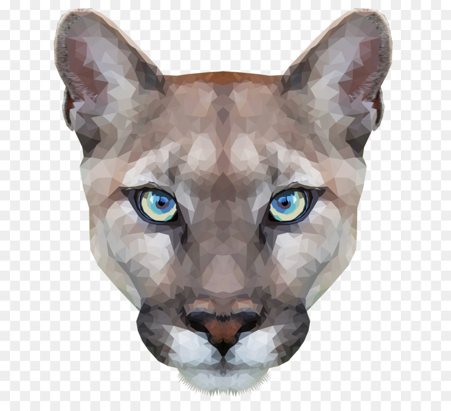 Puma，Gato PNG