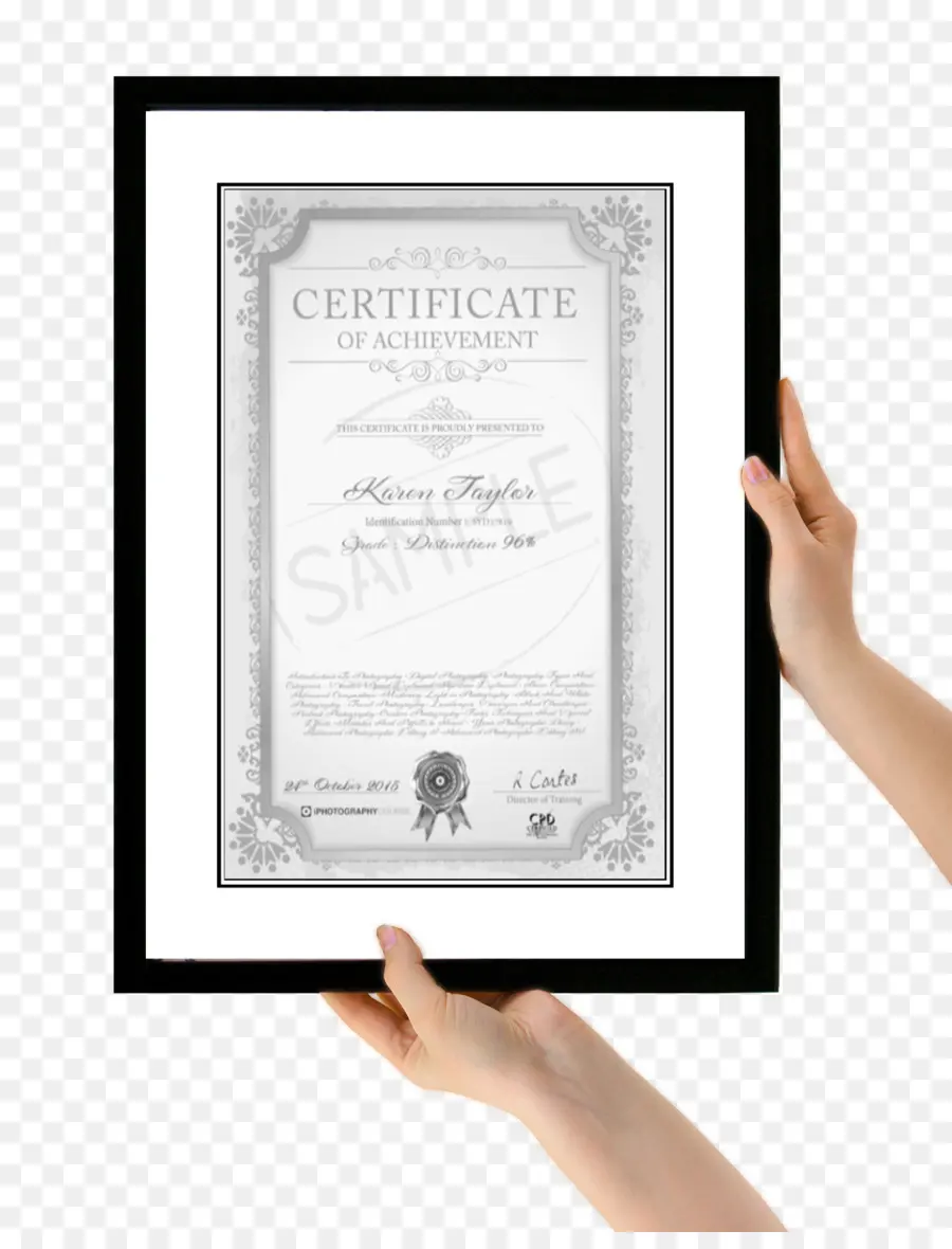 Certificación，La Certificación Profesional PNG