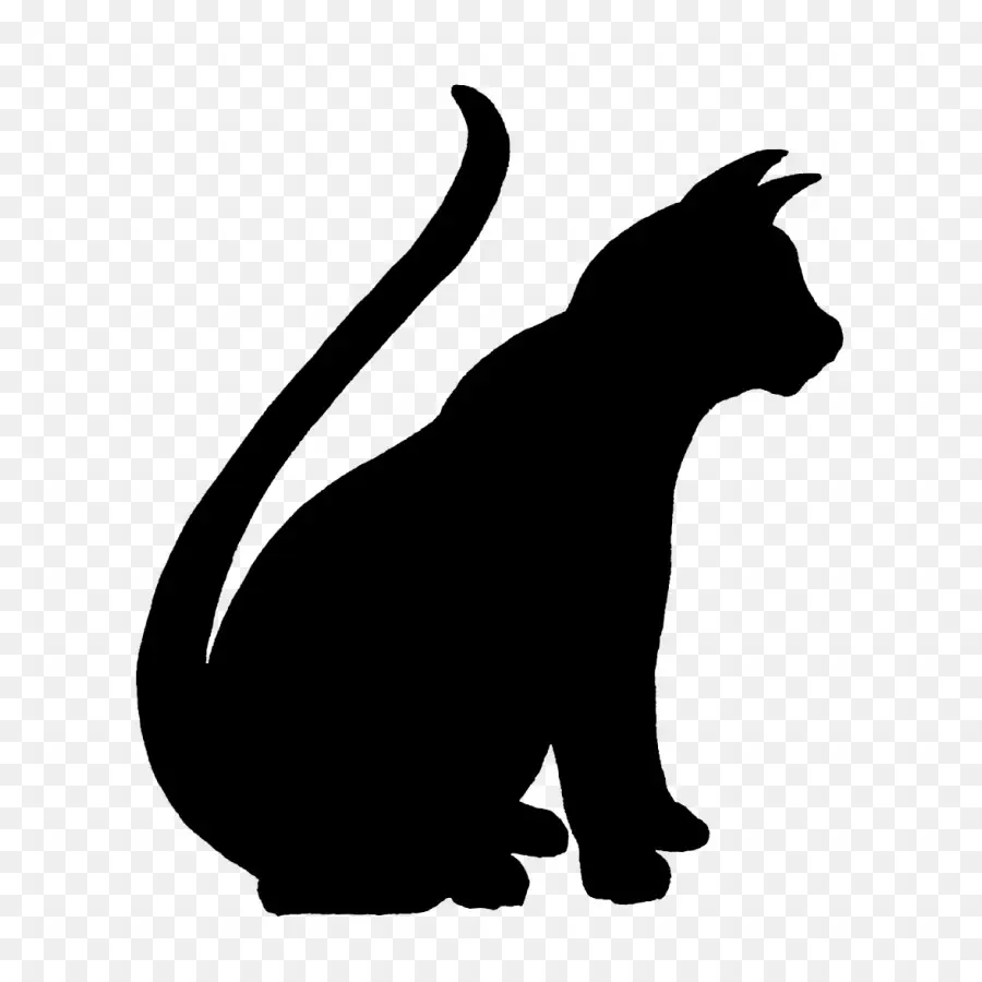 Gato，Cuidado De Mascotas PNG