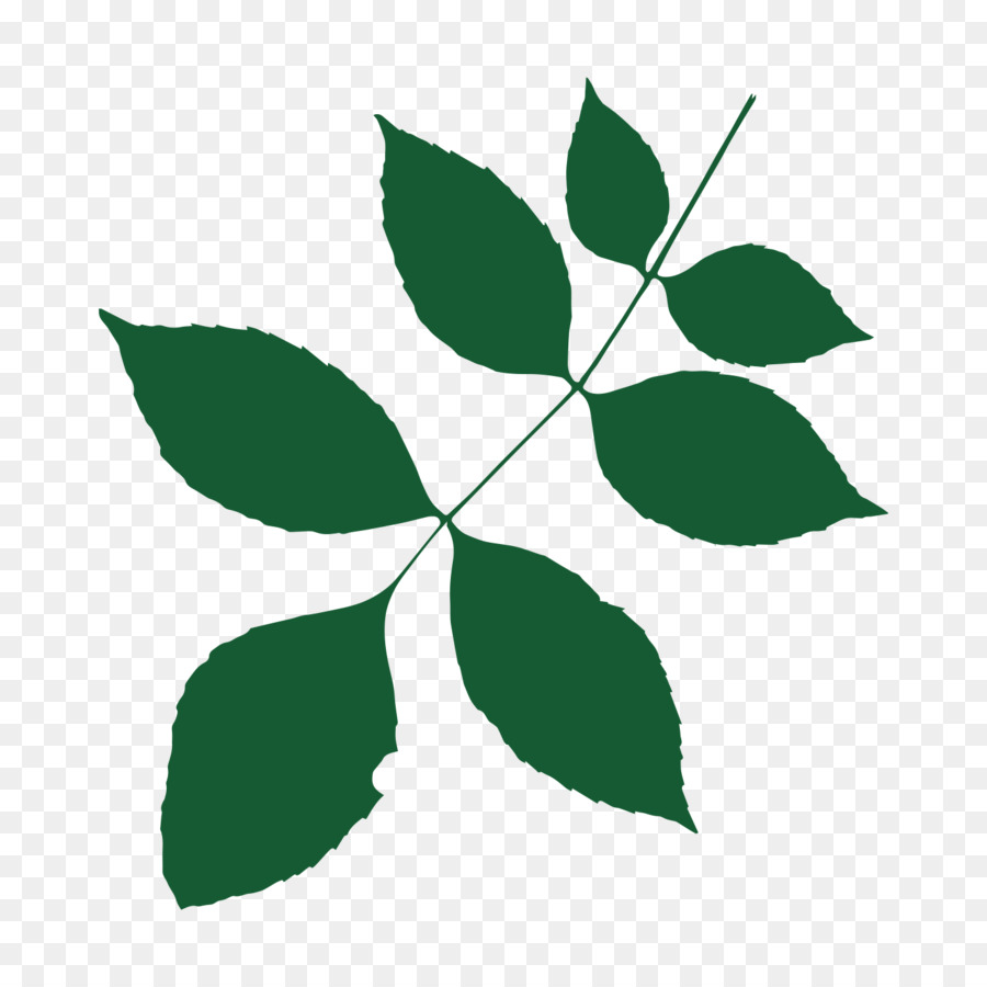 Corazón De Inglaterra Bosque，Árbol PNG