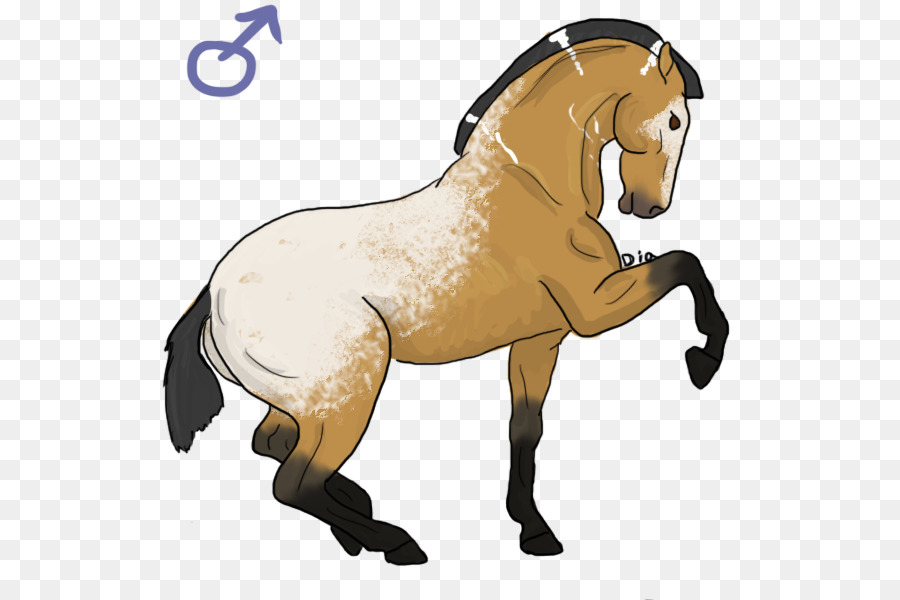 Caballo，Equino PNG