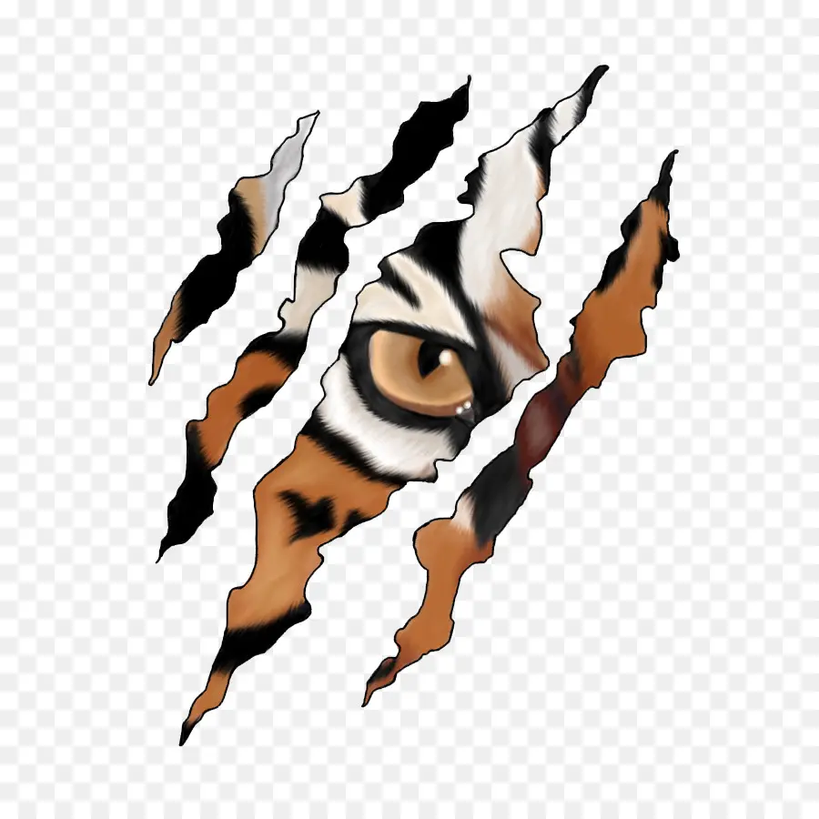 Tigre，Garra PNG