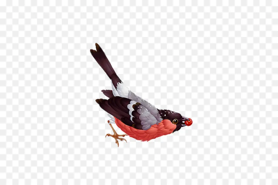 Pájaro Con Baya，Vuelo PNG