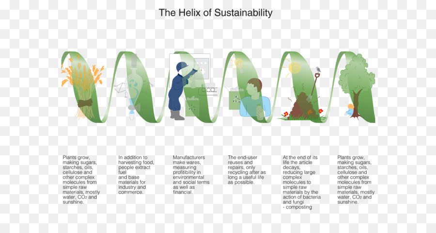 Hélice De La Sostenibilidad，Ambiente PNG