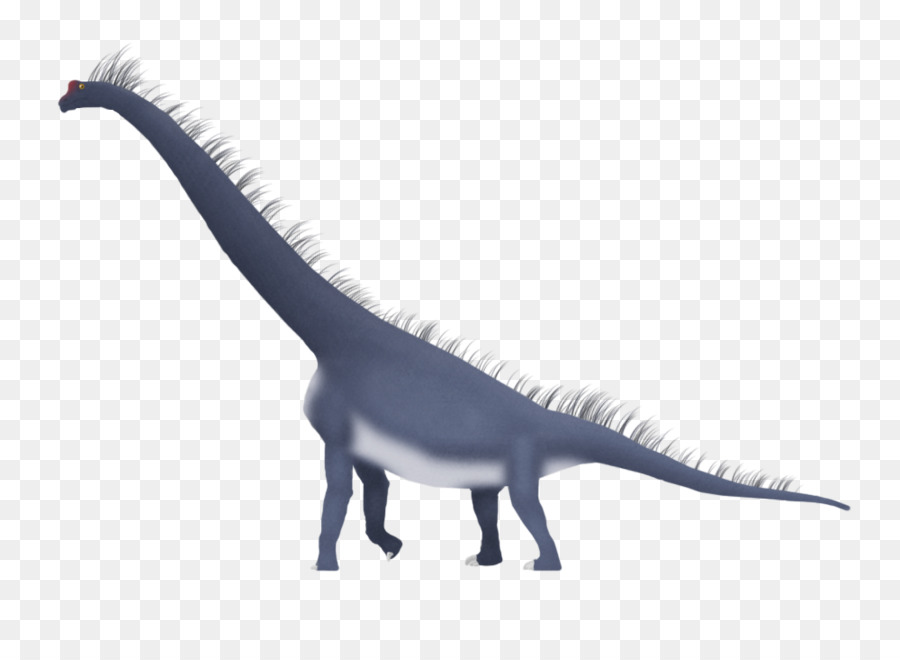 Velociraptor，Brachiosaurus PNG