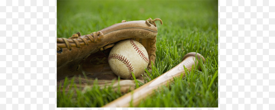 El Entrenamiento De Primavera，2018 De La Liga Mayor De Béisbol De La Temporada PNG