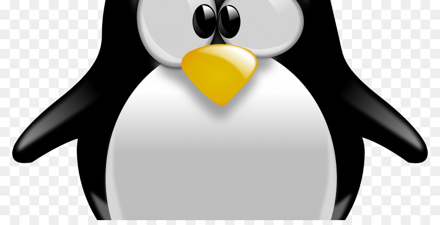 Pingüino，Camiseta PNG