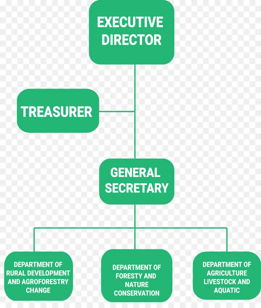 Organización，Organización No Gubernamental PNG
