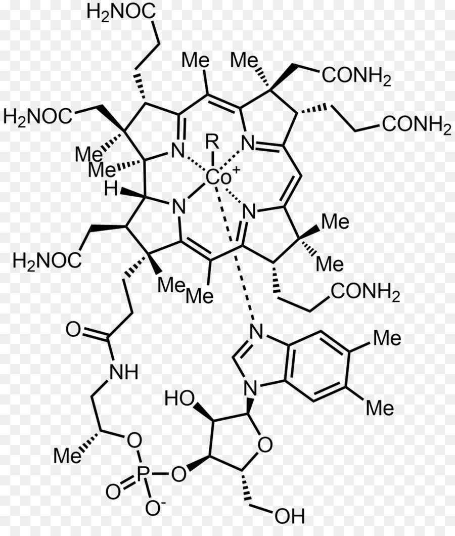 Estructura Química，Molécula PNG