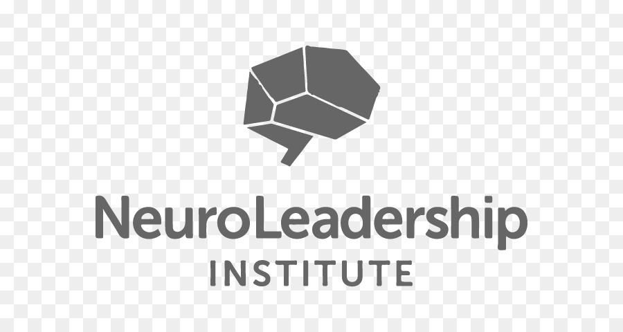 Neuroleadership，Organización PNG