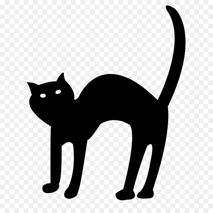 Gato，Halloween PNG