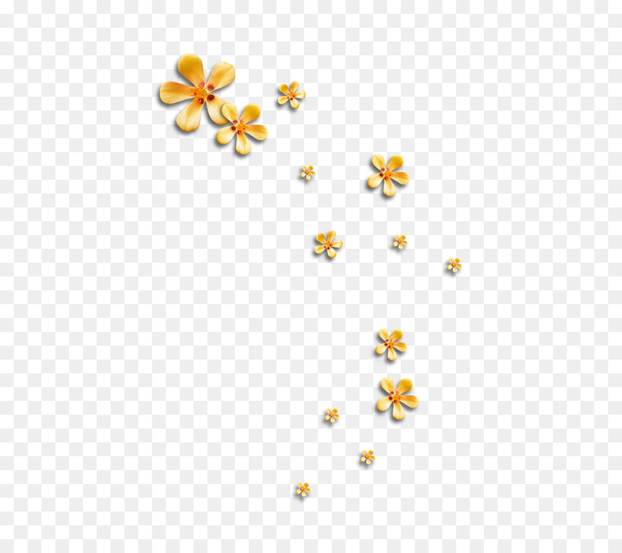 Flor，Ilustrador PNG