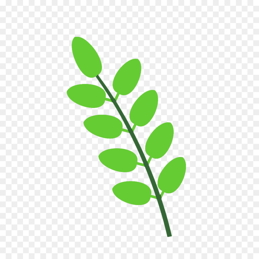 Hojas Verdes，Planta PNG